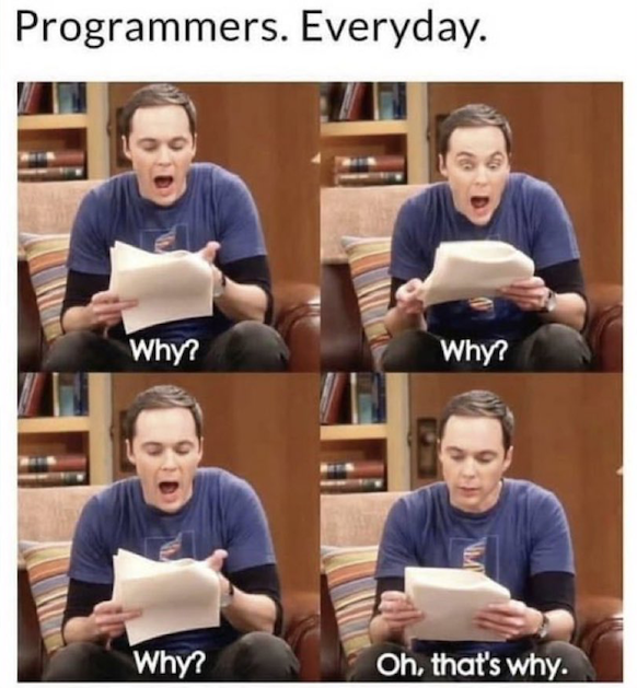 Programmers. Everyday. Four panels of a developer reading paper, repeatedly asking Why?, then finally understanding.